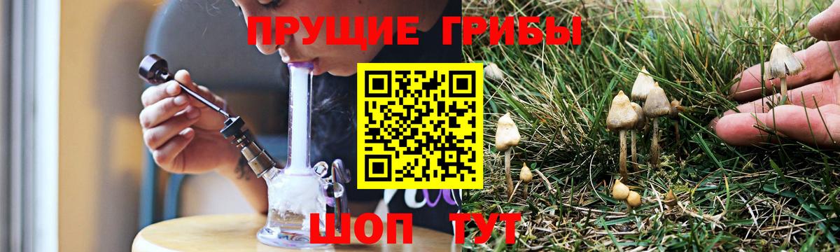 Галлюциногенные грибы мухоморы  Вход с VPN  Ессентуки 